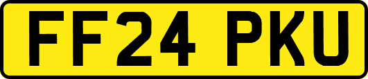 FF24PKU