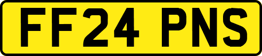 FF24PNS