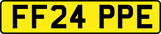 FF24PPE
