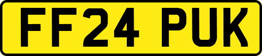 FF24PUK