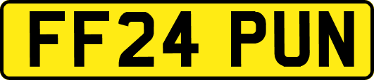 FF24PUN