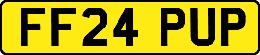 FF24PUP