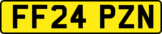 FF24PZN