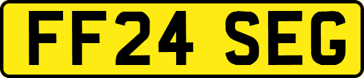 FF24SEG