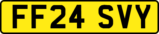 FF24SVY