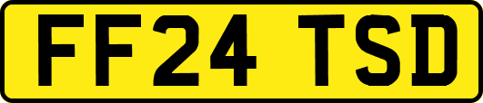 FF24TSD