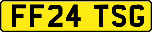 FF24TSG