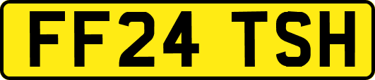 FF24TSH