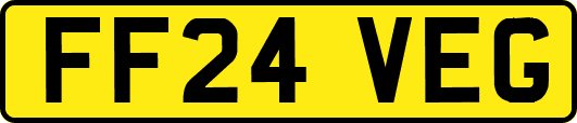 FF24VEG