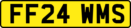 FF24WMS