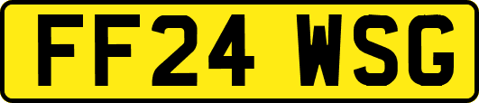 FF24WSG