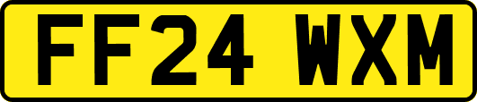 FF24WXM