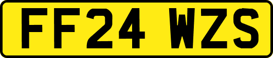 FF24WZS