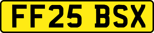 FF25BSX