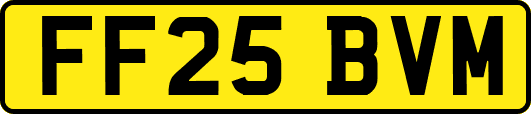 FF25BVM
