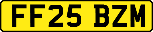 FF25BZM