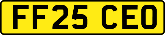 FF25CEO