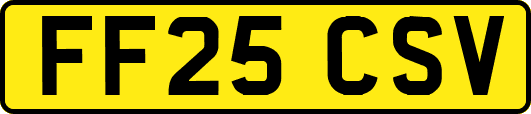 FF25CSV