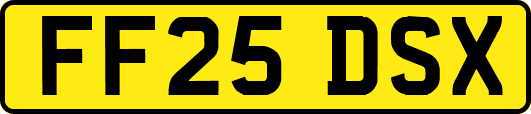FF25DSX