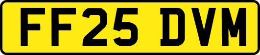 FF25DVM