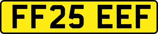 FF25EEF