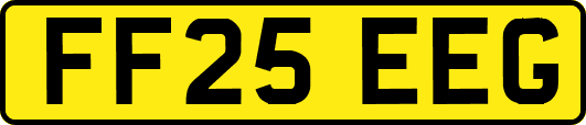 FF25EEG