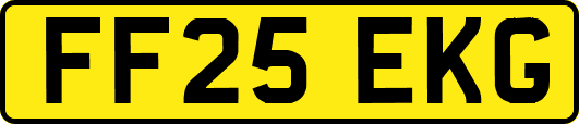 FF25EKG