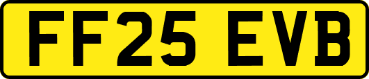 FF25EVB
