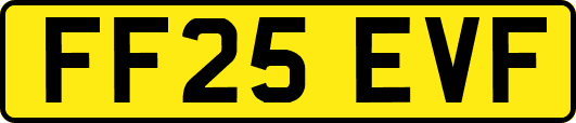 FF25EVF