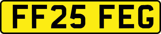 FF25FEG