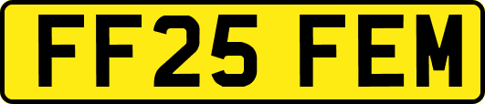 FF25FEM