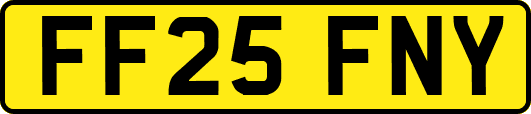 FF25FNY