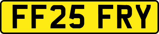 FF25FRY