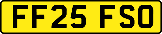 FF25FSO