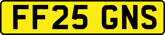 FF25GNS
