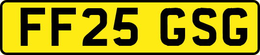 FF25GSG