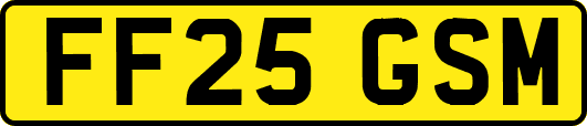 FF25GSM