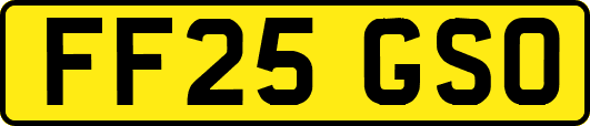 FF25GSO