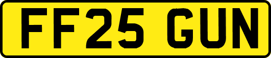 FF25GUN