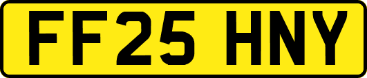 FF25HNY