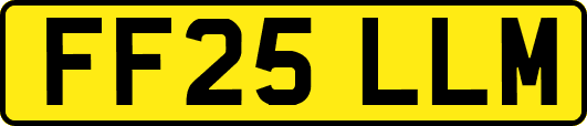 FF25LLM