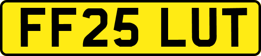 FF25LUT