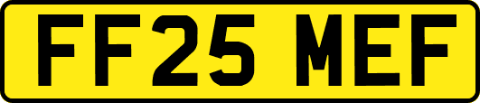 FF25MEF
