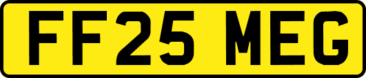 FF25MEG