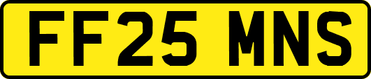 FF25MNS