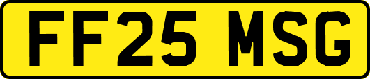 FF25MSG