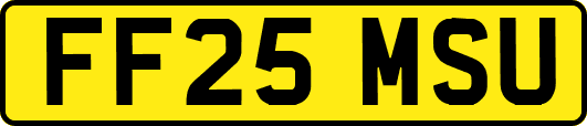FF25MSU