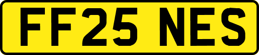 FF25NES