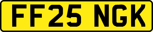 FF25NGK