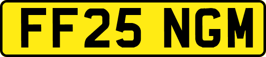 FF25NGM